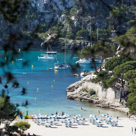 Comitas Floramar-2